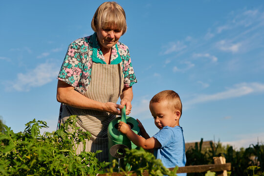 An elderly woman helps a young boy water plants in a garden. They are both focused on the task. The day is bright and clear with a blue sky
