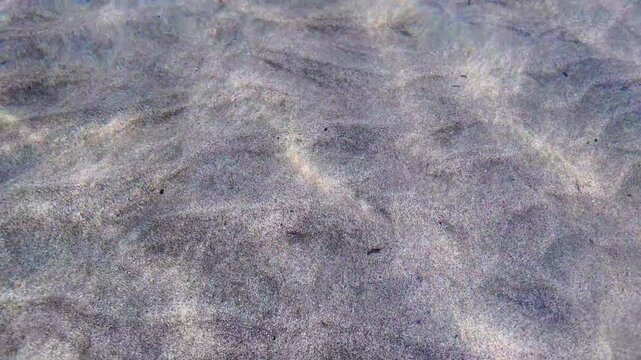 Close up abstract view of sunlight caustics patterns moving on a sandy shallow sea floor through clear rippling water
