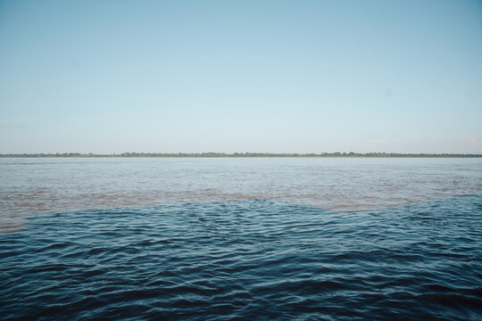 Amazon River bank with a backdrop of the Amazon forest