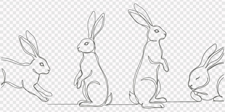 Set continuous one line drawing of Easter bunny fluffy rabbit. Isolated on white background vector illustration.Editable line, transparent background, Easter bunny set continuous one line drawing. pro