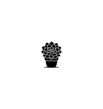 Minimalist Black and White Echeveria Succulent Plant Illustration