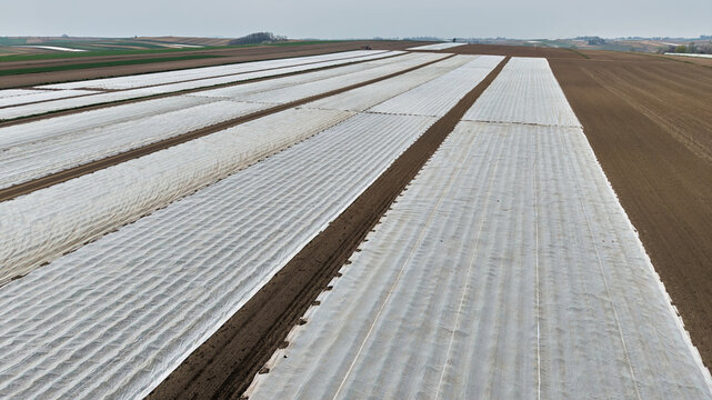 High angle aerial view of vast agricultural lands covered with white agrotex fleece foil for early harvest cultivation