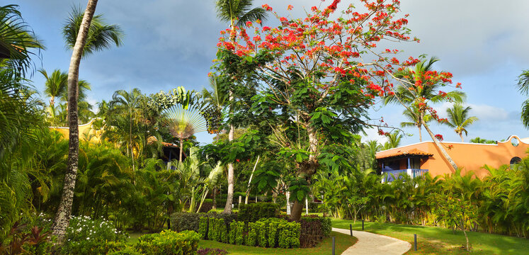 Dominican republic, beautiful park in La Romana with variety of Caribbean plants 