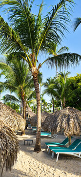 Dominicus beach, white sand, sun beds and palms in early morning. Dominican republic 