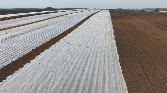 Drone flight over agricultural fields covered with white agrotextile nonwoven fabric