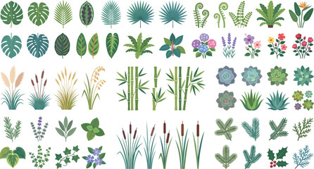 Tropical Plants Leaves Flowers and Botanical Garden Elements Flat Vector Collection Set © MdRobiul