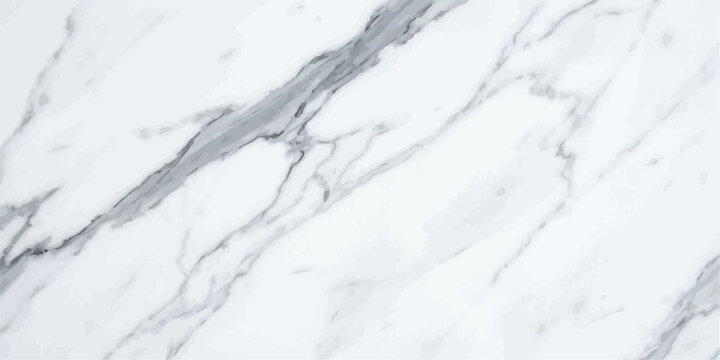 Elegant white carrara marble slab background with subtle grey veining patterns background interior polished material architecture abstract calacatta construction minimalist decorative