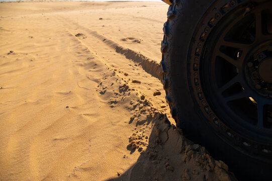 Off-road vehicle tire tracks on sandy desert terrain under bright sunlight