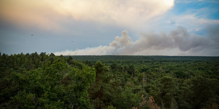 Panoramic view of the Fontainebleau forest with the fires