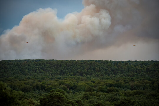 Panoramic view of the Fontainebleau forest with the fires