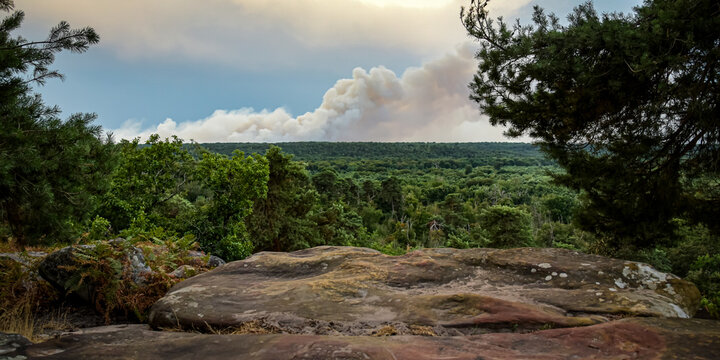 Panoramic view of the Fontainebleau forest with the fires
