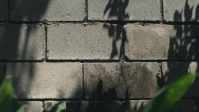 Natural tree shadows moving across weathered concrete block wall with moisture stains. Abstract background for nature, urban texture and environment.