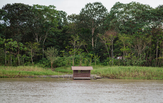 isolated wooden-plank houses in the middle of the Amazon rainforest