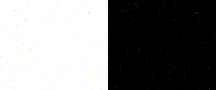 Minimalist split screen background, high contrast black and white composition, vertical division of light and dark space, abstract dual tone texture