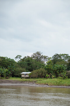 isolated wooden-plank houses in the middle of the Amazon rainforest
