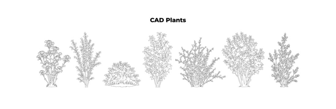 Minimal style CAD plants line drawing, Front view, set of graphics shrub bush and foliage texture elements outline symbol for architecture landscape design. Vector illustration. elevation hatch patter