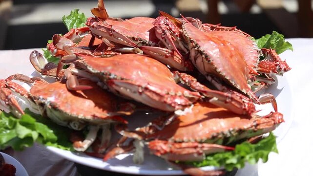 Korea blue crab cuisine soy sauce marinated ganjang gejang steamed soup rice gastronomy k food 꽃게 요리 꽃게간장게장 간장꽃게장 게장 꽃게찜 꽃게탕 꽃게등딱지비빔밥 한식 미식 식재료 수산물