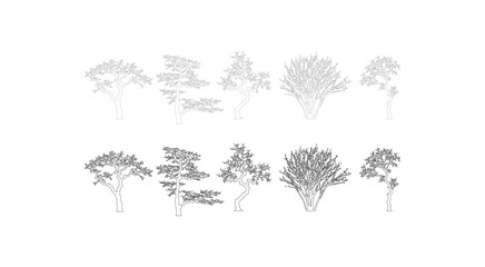 Minimal style CAD mixed deciduous and ornamental tree line drawing, Side view, set of graphic irregular canopy and branching tree outline symbols for architecture landscape design. Vector illustration © Addictive Stock