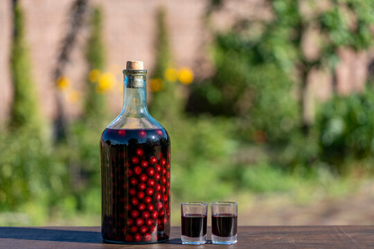 Homemade cherry liqueur or tincture in large glass bottle with cork and two shot glasses on wooden table, closeup. Traditional summer alcohol drink on blurred green nature background