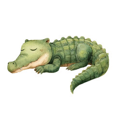 Fototapeta premium Sleeping Green Crocodile Closeup Profile View 1.