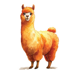 Fototapeta premium Vibrant Orange Alpaca Standing Alone.