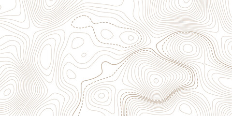 Vector contour topographic map background. Topography and geography map grid. Abstract outline grid, vector illustration. © NAZMA