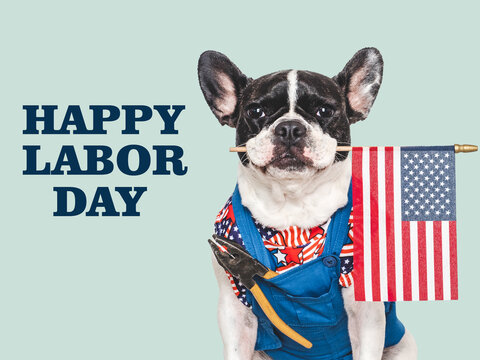 Happy Labor Day. Cute French bulldog and a congratulatory message. Symbolizes Labor Day, hard work, and blue-collar jobs. Ideal for social media, marketing, and lifestyle content. Modern, trendy vibe
