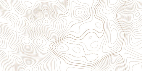 Vector contour topographic map background. Topography and geography map grid. Abstract outline grid, vector illustration. © NAZMA