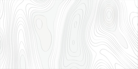 White topography topology vector white background fresh contour map texture. white seamless pattern Abstract background with a wave Topography and geography map grid abstract .Elevation Pattern. © Karishma