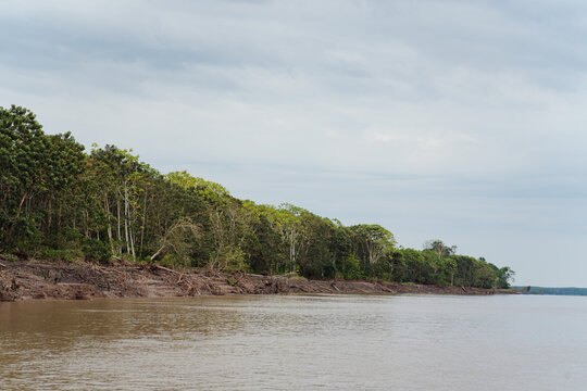 Amazon River with a background of the Amazon rainforest