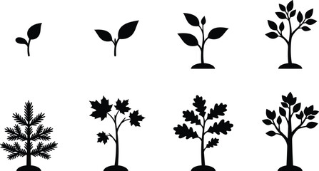 Set of black silhouettes showing tree growth stages and different types of mature tree species © Jafrin