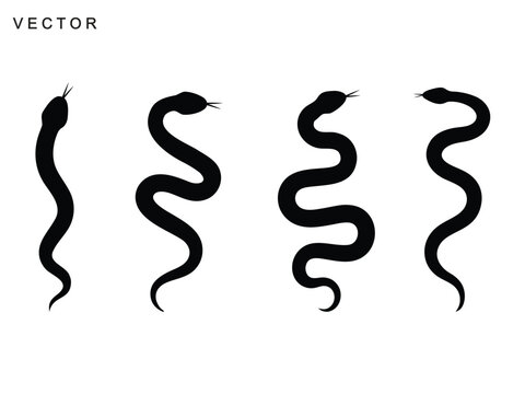 Set of snake silhouette icon, Collection of snake vector illustration on white background