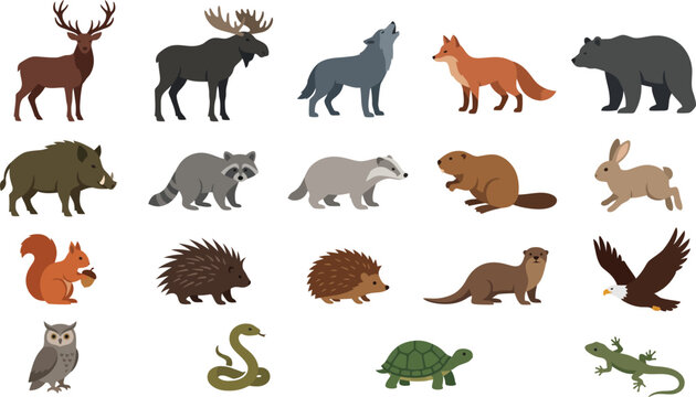 Set of wild animals vector graphic element isolated on white background forest fauna