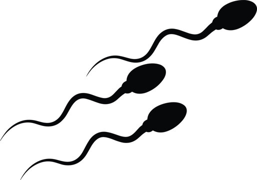 Human Sperm Cells Swimming Black Silhouette Vector Illustration for Reproductive Health Biology Education Infertility Treatment and Medical Infographics