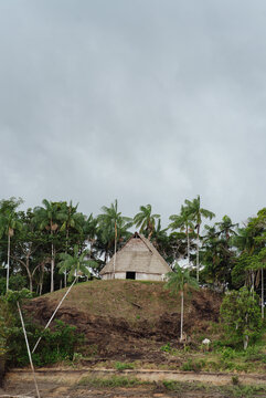Straw huts in the middle of the Amazon rainforest.