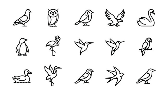 Various bird species illustrated in simple line art style on white background