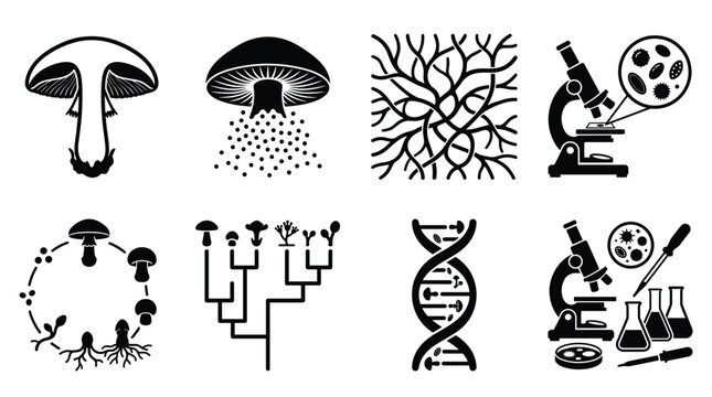 Scientific representing mycology, fungal biology, dna structure, microscope research, and spore dispersal