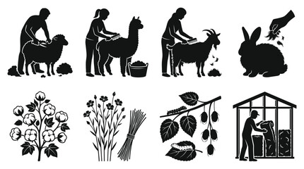 Fototapeta premium Agricultural showing animal fiber harvesting, shearing sheep, alpaca, goat, rabbit, cotton, flax, and silkworm