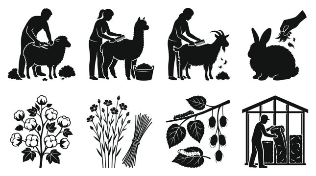 Agricultural showing animal fiber harvesting, shearing sheep, alpaca, goat, rabbit, cotton, flax, and silkworm