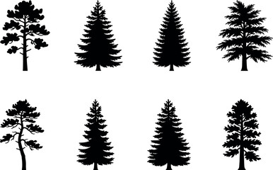 Obraz premium Coniferous Tree Silhouette Collection Featuring Pine, Spruce, and Fir Shapes