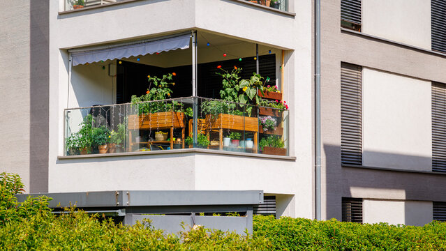 Bright balcony garden with plants and seating setup in a modern apartment during daytime
