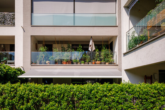 Plants on a balcony in a residential building during a sunny day