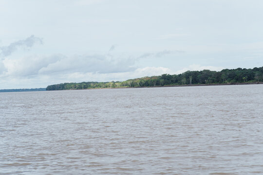 Amazon River with a background of the Amazon's green, wooded area.