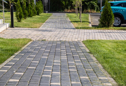 Close up of freshly cut grass clippings scattered on a paving stone path after mowing a lawn. Garden maintenance, yard backyard landscaping, lawn care and outdoor stock concept.