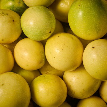 pile of fresh yellow passion fruits in full frame, ripe tropical maracuja fruits with smooth skin, taken from above in close-up view, healthy tropical diet background