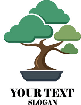 Bonsi tree logo icon vector white background .