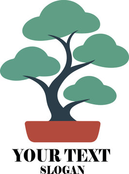 Bonsi tree logo icon vector white background .
