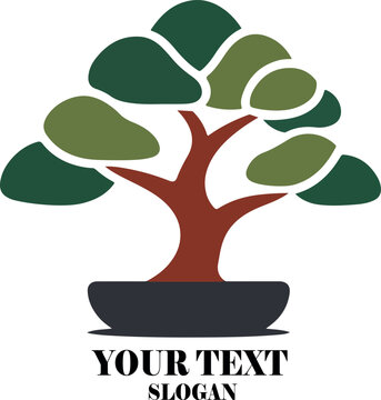 Bonsi tree logo icon vector white background .