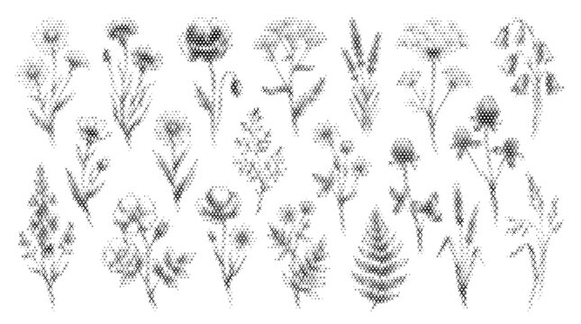embroidery wildflower mix nature folk collection plant flora botanical flower leaf ethnic cross hatch stitched vector illustration graphic design