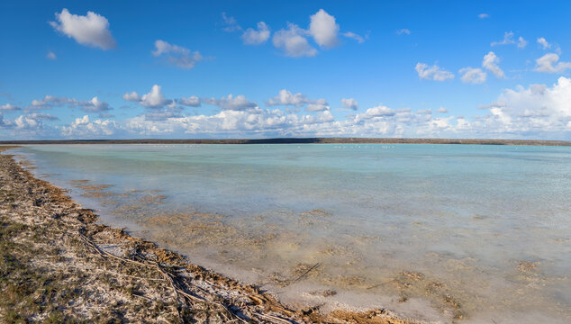 Shore of Lake Tsimanampetsotsa in the Dry Season, Tsimanampetsotsa National Park, Madagascar	